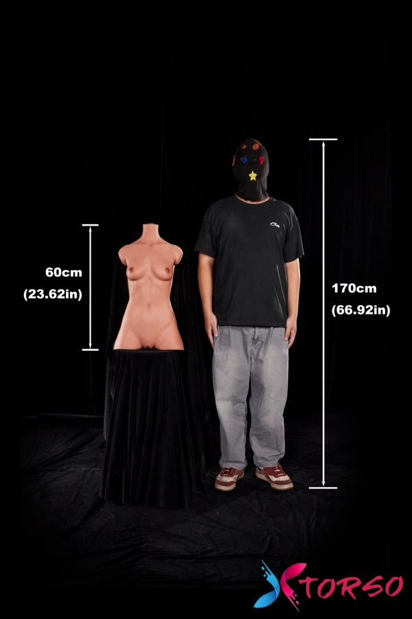 buy sex torso near me