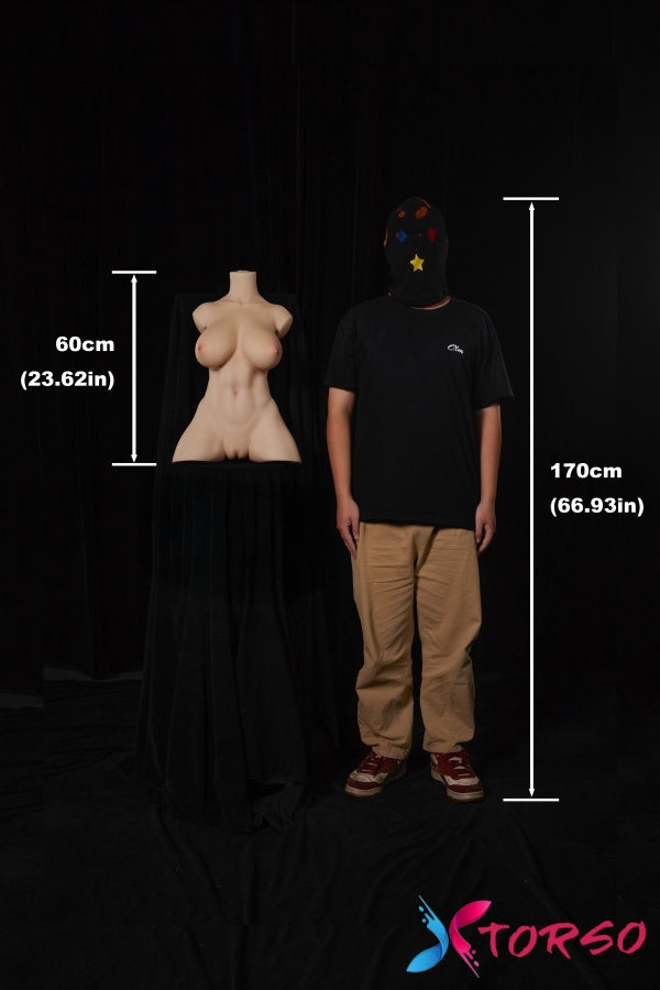 cheap sex torso for sale