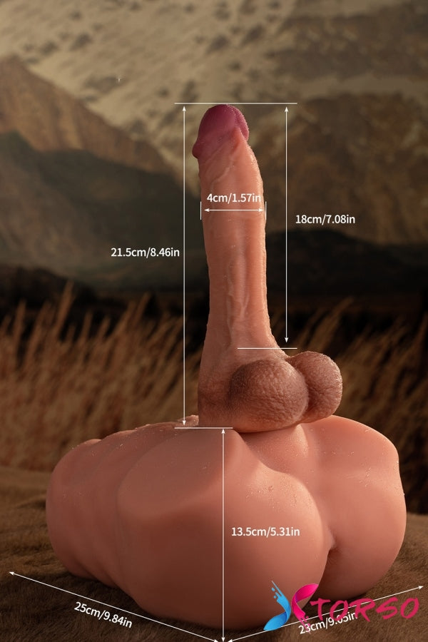 cheap male male sex dolls for women torso