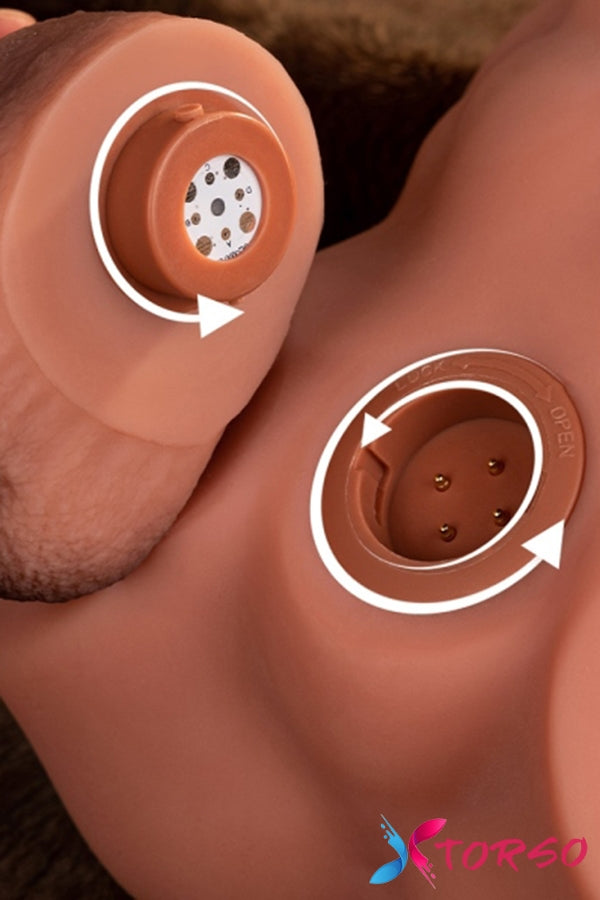 realistic male torso sex doll