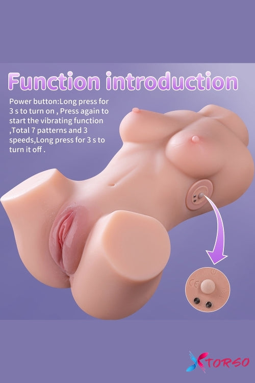 sex torso toy